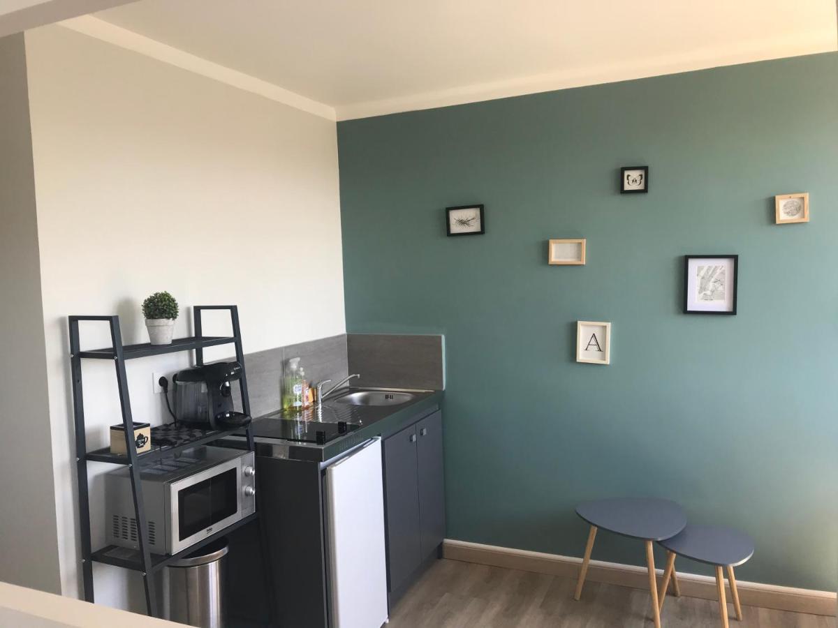 Bel Appartement Renove, Spacieux Et Lumineux Bourg-en-Bresse Buitenkant foto